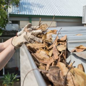How Often Should You Clean Your Gutters